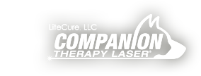 Litecure Companion Therapy Laser